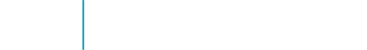 Academy of Brain-based Leadership Logo